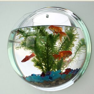 Pot Plant Wall Mounted Newest Hanging Decor Bubble Bowl Flowers Fish Tank Home Decor Aquarium Home Decoration Accessories