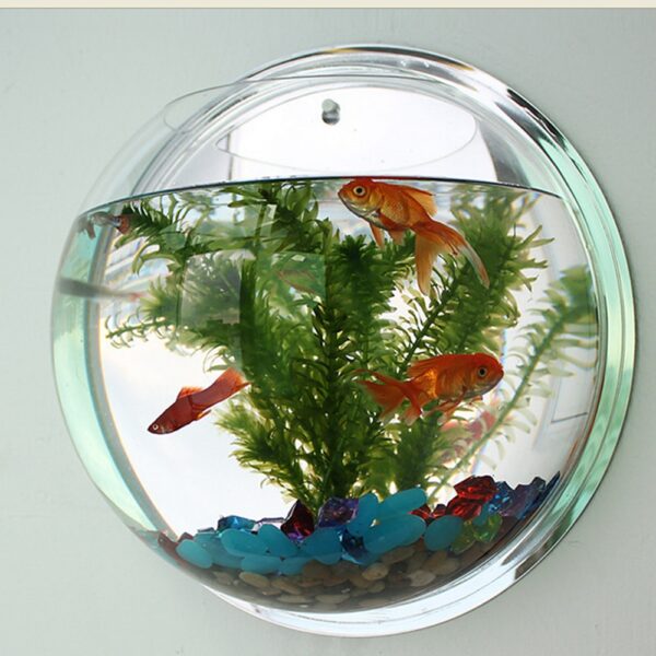 Pot Plant Wall Mounted Newest Hanging Decor Bubble Bowl Flowers Fish Tank Home Decor Aquarium Home Decoration Accessories