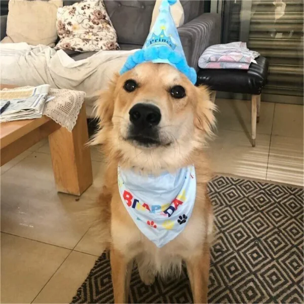 2Pcs/Set Dog Hat Bib Dog Birthday Bandana Scarf Adjustable Bandana Neckerchief Cat Dog Birthday Bib Hat Pet Supplies - Image 2