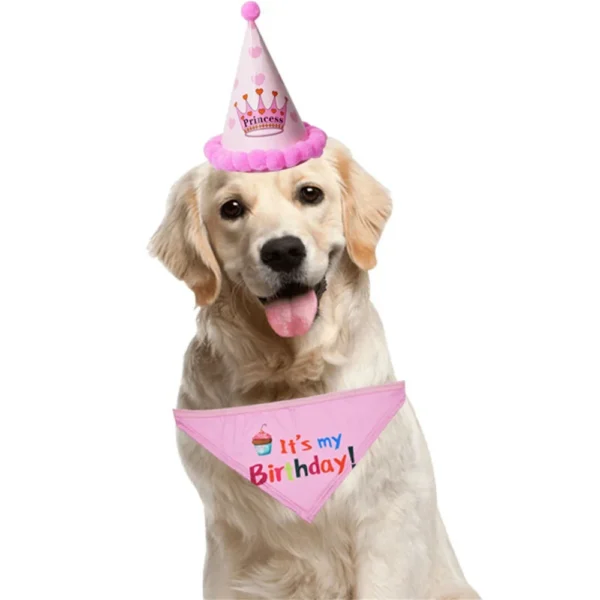 2Pcs/Set Dog Hat Bib Dog Birthday Bandana Scarf Adjustable Bandana Neckerchief Cat Dog Birthday Bib Hat Pet Supplies - Image 3