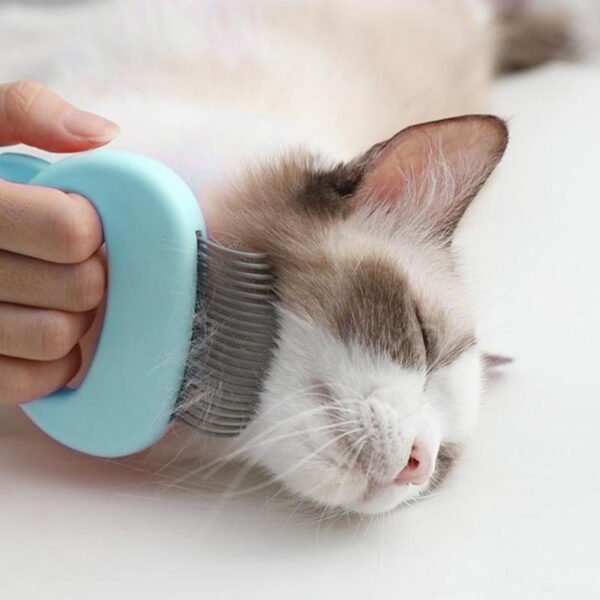 Pet Massager & Deshedding Shell Comb - Image 4