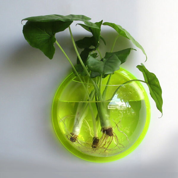 Pot Plant Wall Mounted Newest Hanging Decor Bubble Bowl Flowers Fish Tank Home Decor Aquarium Home Decoration Accessories - Image 8