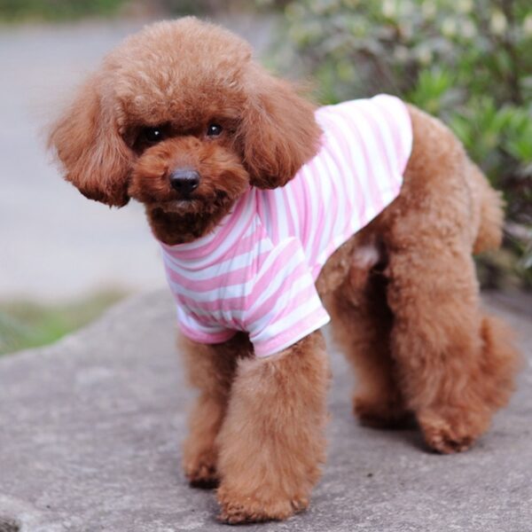 Summer Pet Dog Clothes For Small Dogs Cotton Dog Shirt Pet Cat Vest Clothing Pet T Shirt Chihuahua Outfit Costumes - Image 3