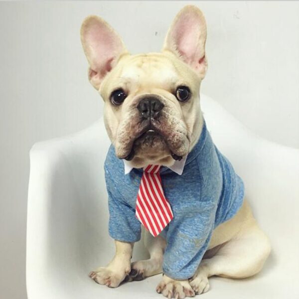 Cute Pet Ties, Dog Collar Cat Collar, Pet Bow Ties, Dog Tie, Smart Looking Pet Costume - Image 3