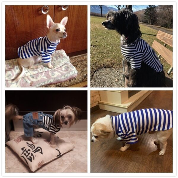 Summer Pet Dog Clothes For Small Dogs Cotton Dog Shirt Pet Cat Vest Clothing Pet T Shirt Chihuahua Outfit Costumes - Image 5