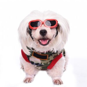 Pet Sunglasses with UV/UVB Protection – Wind, Water & Debris Shield for Dogs & Cats (Fits 30-65cm Head, 4-20kg)