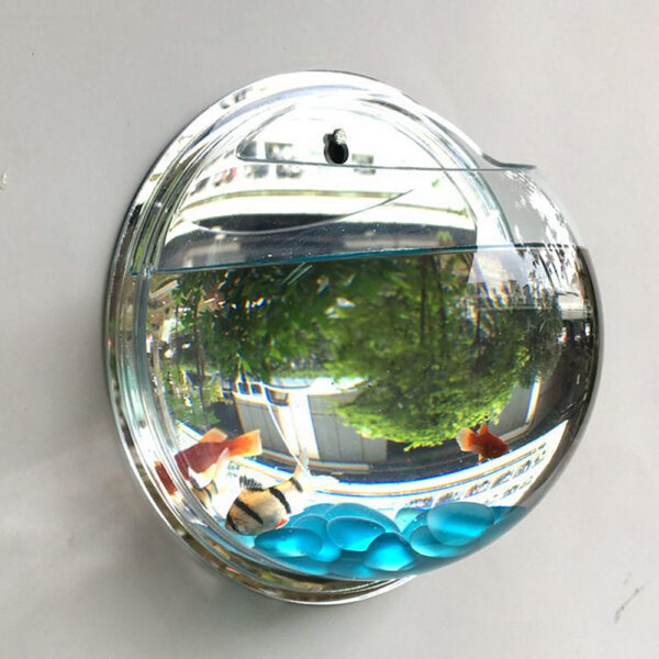 Pot Plant Wall Mounted Newest Hanging Decor Bubble Bowl Flowers Fish Tank Home Decor Aquarium Home Decoration Accessories - Image 7