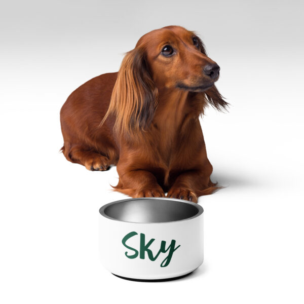 Pet bowl - Image 3