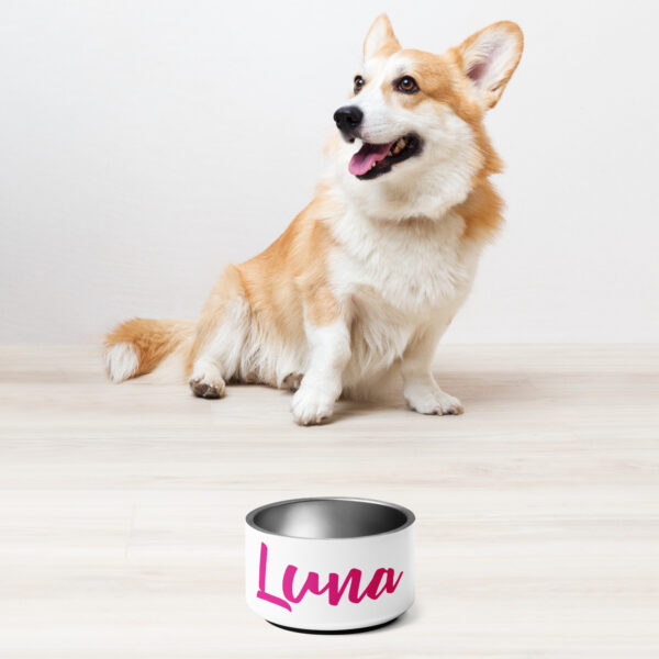 Pet bowl - Image 3