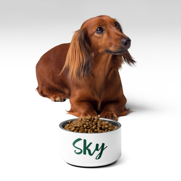 Pet bowl - Image 2
