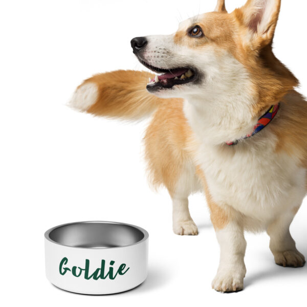 Pet bowl - Image 4