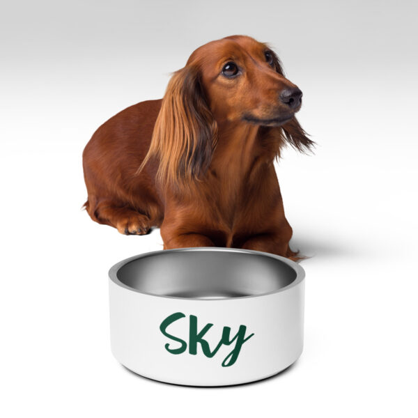 Pet bowl - Image 4