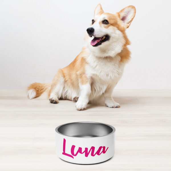 Pet bowl - Image 4