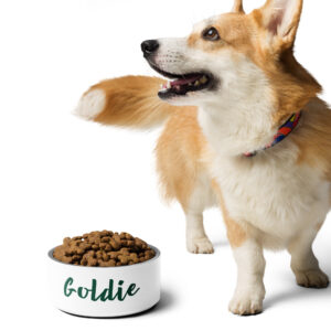 Pet bowl