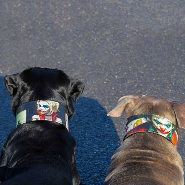 The Harley Limited Collar - Image 4