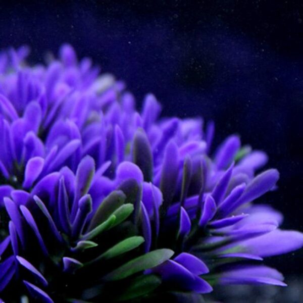 Vibrant Purple Round Grass Aquarium Decor - Image 3